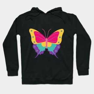 colourful butterfly art Hoodie